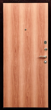 Фотография «Дверь Ламинат №2»